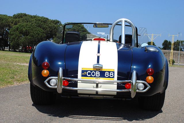 Robnell Cobra!! - Image 32846