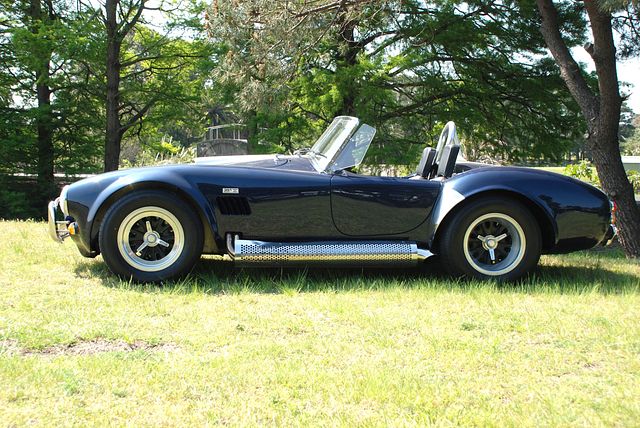 Robnell Cobra!! - Image 32849