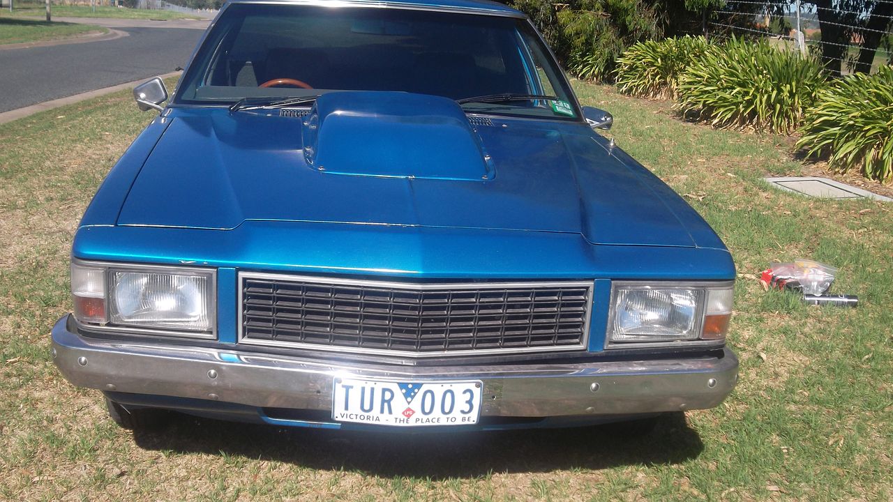 WB Holden Ute 454V8 - Image 43350