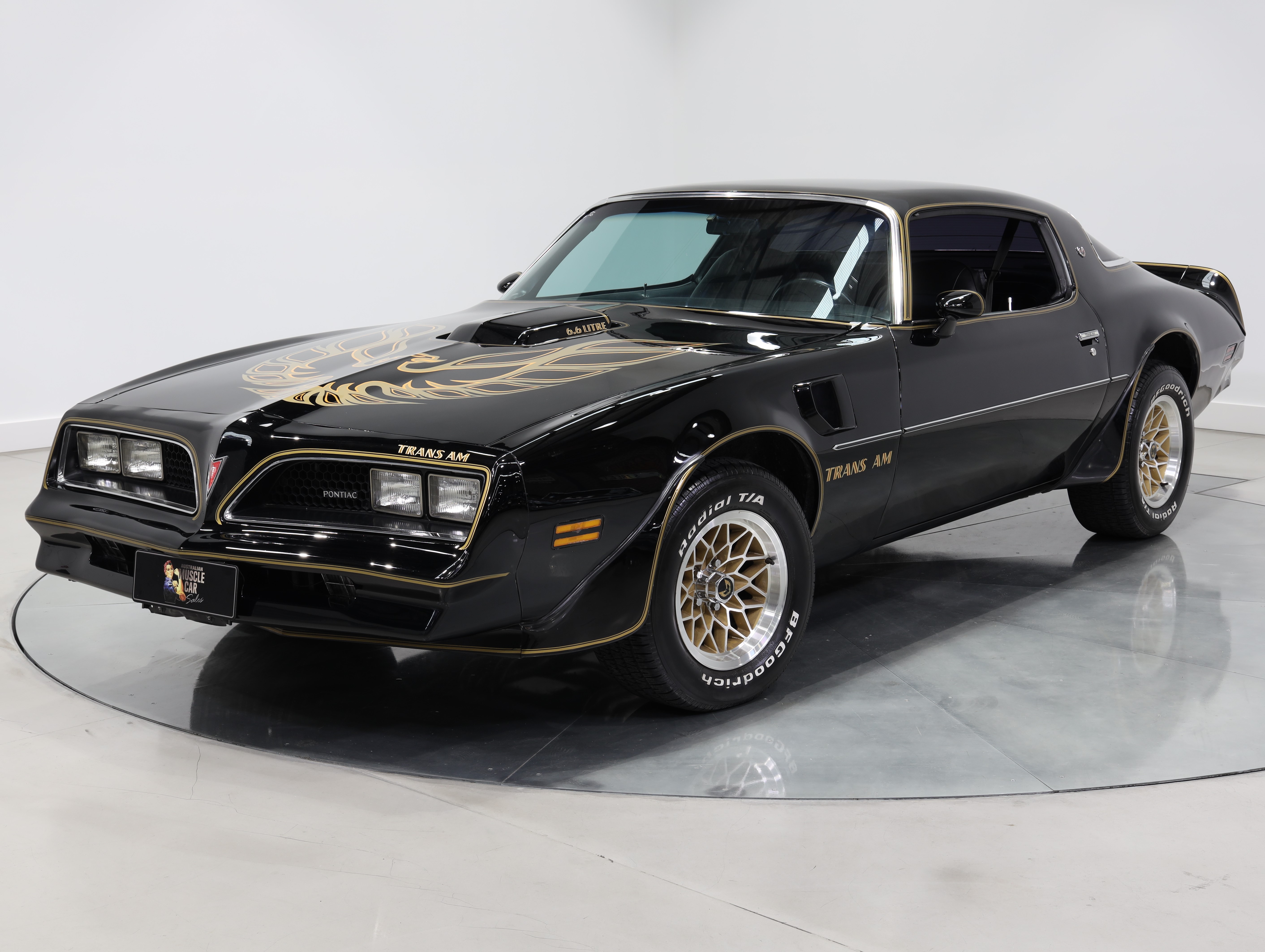 1977 Pontiac Firebird Trans Am