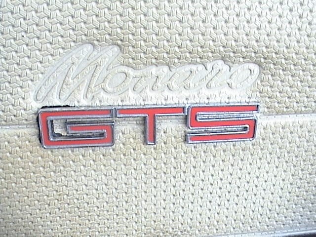 HT GTS Monaro V8