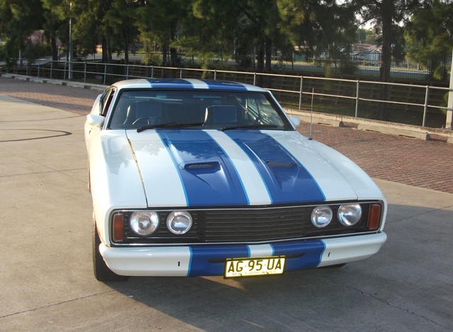 XC Falcon Cobra #47