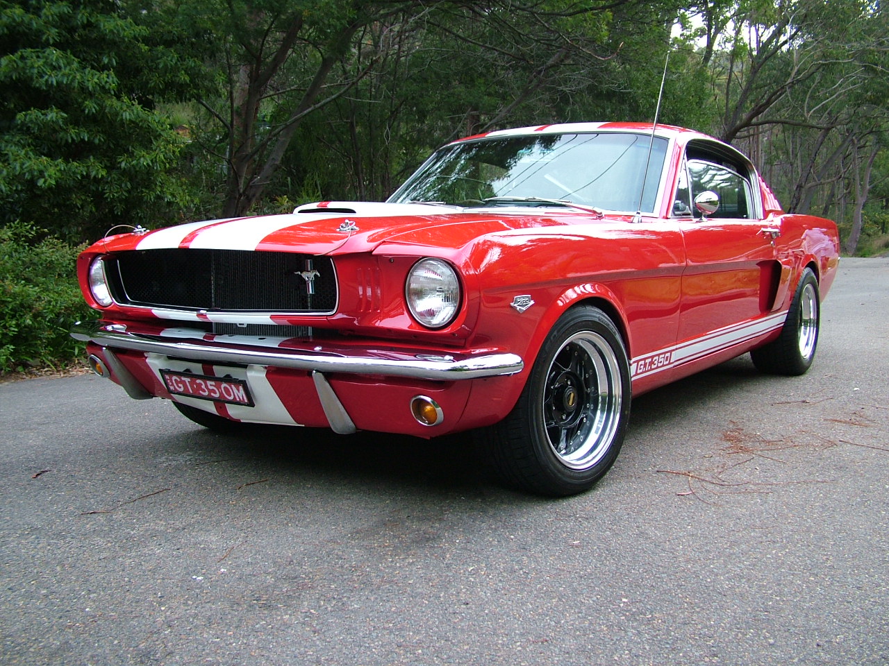 1965 Shelby Mustang GT350 Replica