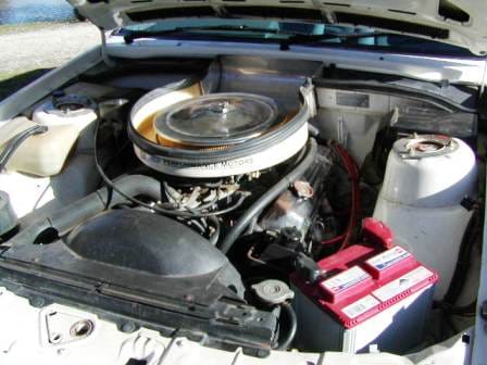 GMP&A  VK Commodore Race Shell