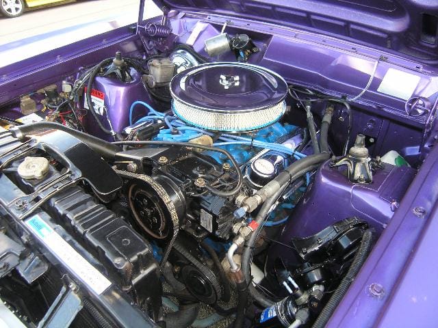 Wild Violet XY GS Fairmont