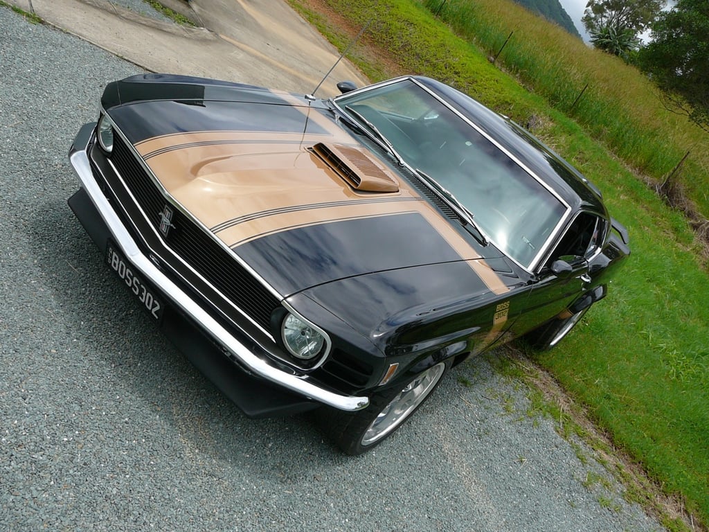 Boss 302 Mustang Streeter - Image 34926