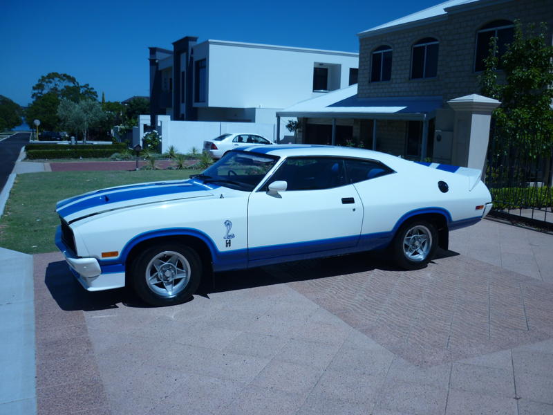 XC Falcon Cobra #166