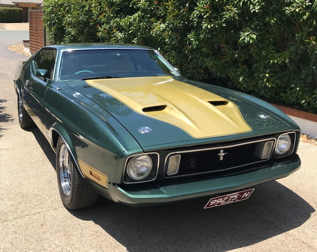 1973 Mustang Mach 1 - Image 114281