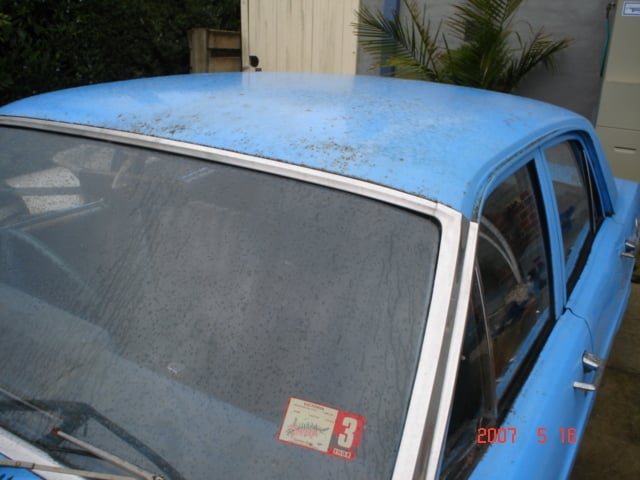 XY Falcon 351 - Image 12000