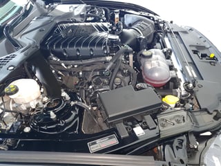 2019 Dick Johnson Limited Edition Mustang - Build 10/30 - Automatic