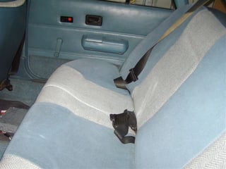 VK Group A Commodore #447