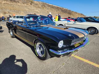 2023 All Ford Day - Eastern Creek NSW