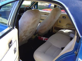 ZG Fairlane 351 50th Anniversary