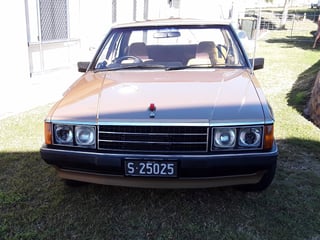 1982 Ford ZJ Fairlane 351 V8