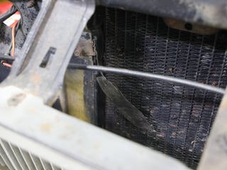 1971 Ford XY Falcon 500 GS Rallye Pack - 302 V8 4 Speed