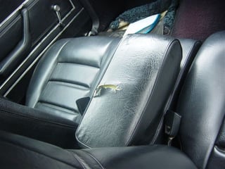 1975 ZG Fairlane 500