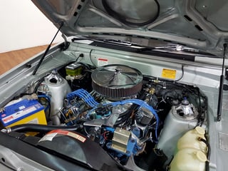 1982 XE Falcon S-Pack 5.8L 4sp