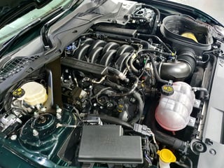 2019 Ford Mustang Bullitt - Build #4903