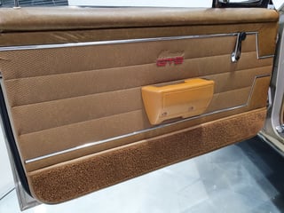 1969 HT GTS Monaro 186S - SURVIVOR