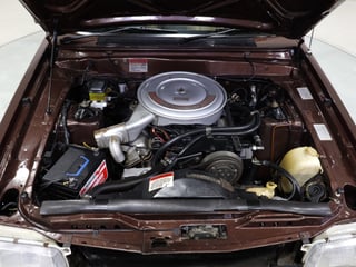 1982 Ford XE Falcon S-Pack 5.8L 4spd - Satellite Brown Metallic