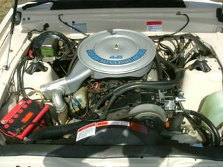 1979 ZJ Fairlane 500 V8