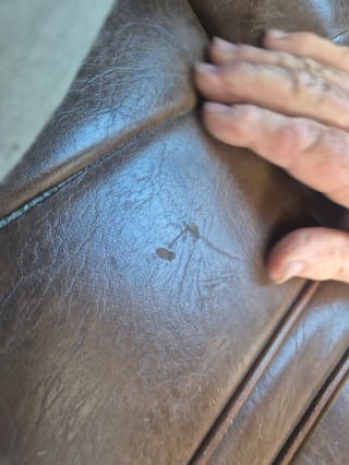 1975 XB GT Falcon - Tropic Gold