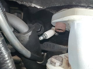 1986 HDT Commodore VL SS Group A - Build 109/500