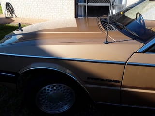 1982 Ford ZJ Fairlane 351 V8