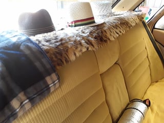 1982 Ford ZJ Fairlane 351 V8