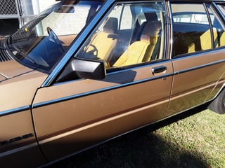 1982 Ford ZJ Fairlane 351 V8