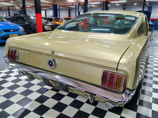 1965 Mustang Fastback 2+2