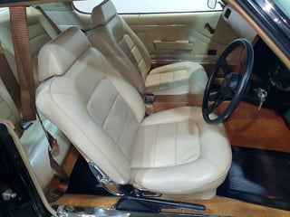 1973 HQ GTS Monaro Coupe 350 4 Speed - Warrigal Black