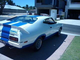 XC Falcon Cobra #166