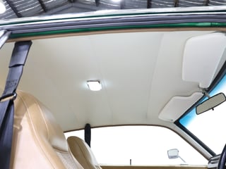 1977 Chrysler Valiant CL Charger 770 - Poison Ivy Metallic