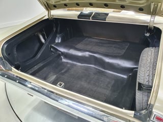 1969 HT GTS Monaro 186S - SURVIVOR