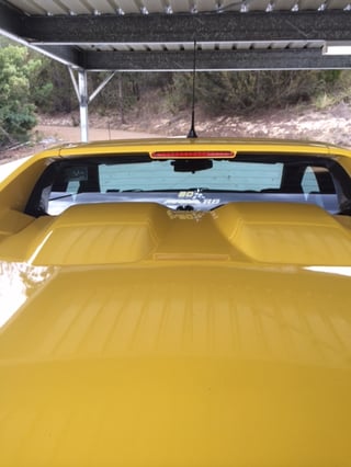 20th Anniversary HSV VE Maloo R8