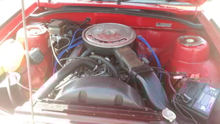 1982 VH HDT SS Commodore Group 2 Build No 659 - Maranello Red