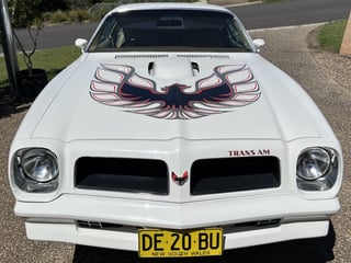 1976 Pontiac Firebird Trans Am 455 HO 4 speed manual