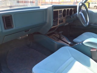 1984 WB Statesman De Ville