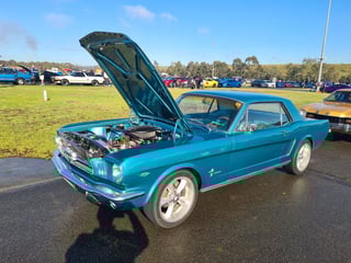 2022 All Ford Day - Eastern Creek, Sydney