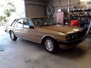 1982 Ford ZJ Fairlane 351 V8