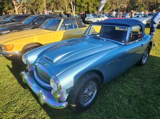 2024 All Holden Day and Coffee and Cars St Ives - A Massive Car Lover's Day!