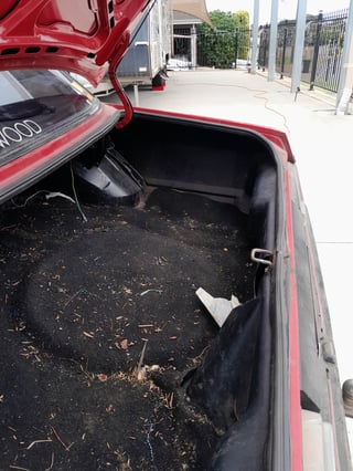 1981 XD Ford Fairmont Ghia ESP - 5.8 Litre V8 