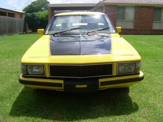 1981 WB Holden Ute