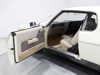 1975 Holden HJ GTS Monaro 2-Door Coupe - Chamois Unrestored Survivor 