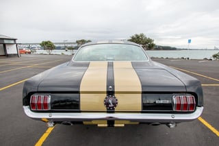 1965 Mustang Fastback Shelby GT350H Tribute