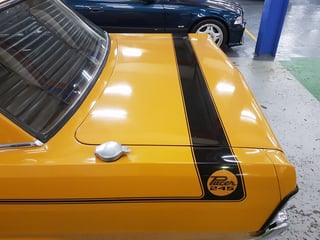 VG Valiant E31 Track Pack Pacer