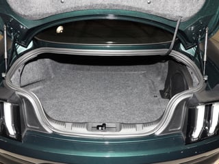 2019 Ford Mustang Bullitt - Build #2779