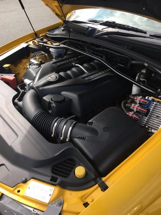 2006 VZ HSV GTO LE Coupe - Build No. 26 / 100