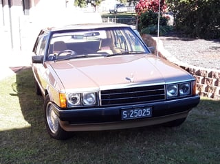 1982 Ford ZJ Fairlane 351 V8